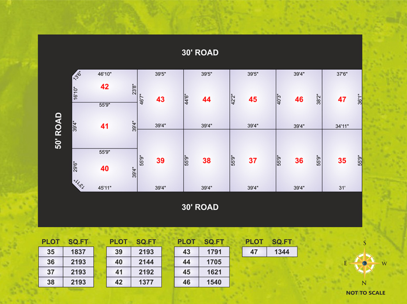 doctor ashville garden layout1
