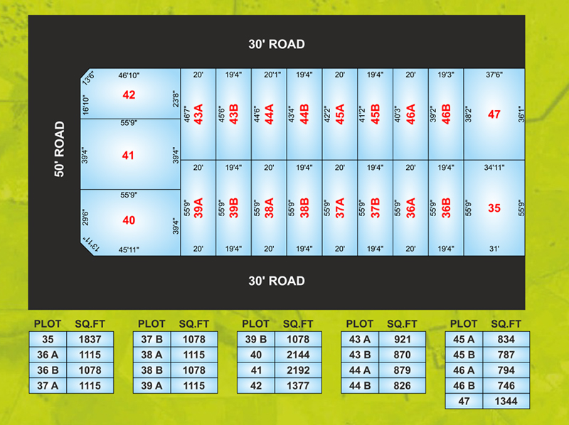 doctor ashville garden layout2